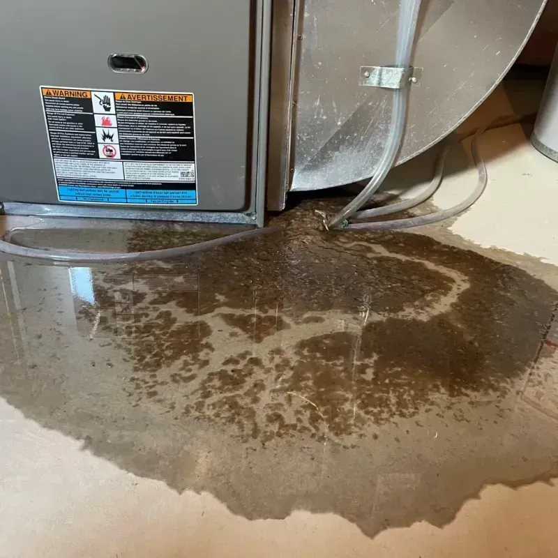 Appliance Leak Cleanup in Silverdale, WA